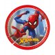 8 PLATOS 20 CM SPIDERMAN