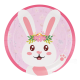 8 Platos 1St Birthday Bunny 18 cm