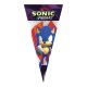 100 Bolsa Cono 20 X 40 Sonic